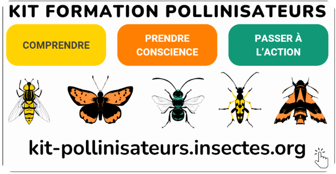 kit pollinisateurs