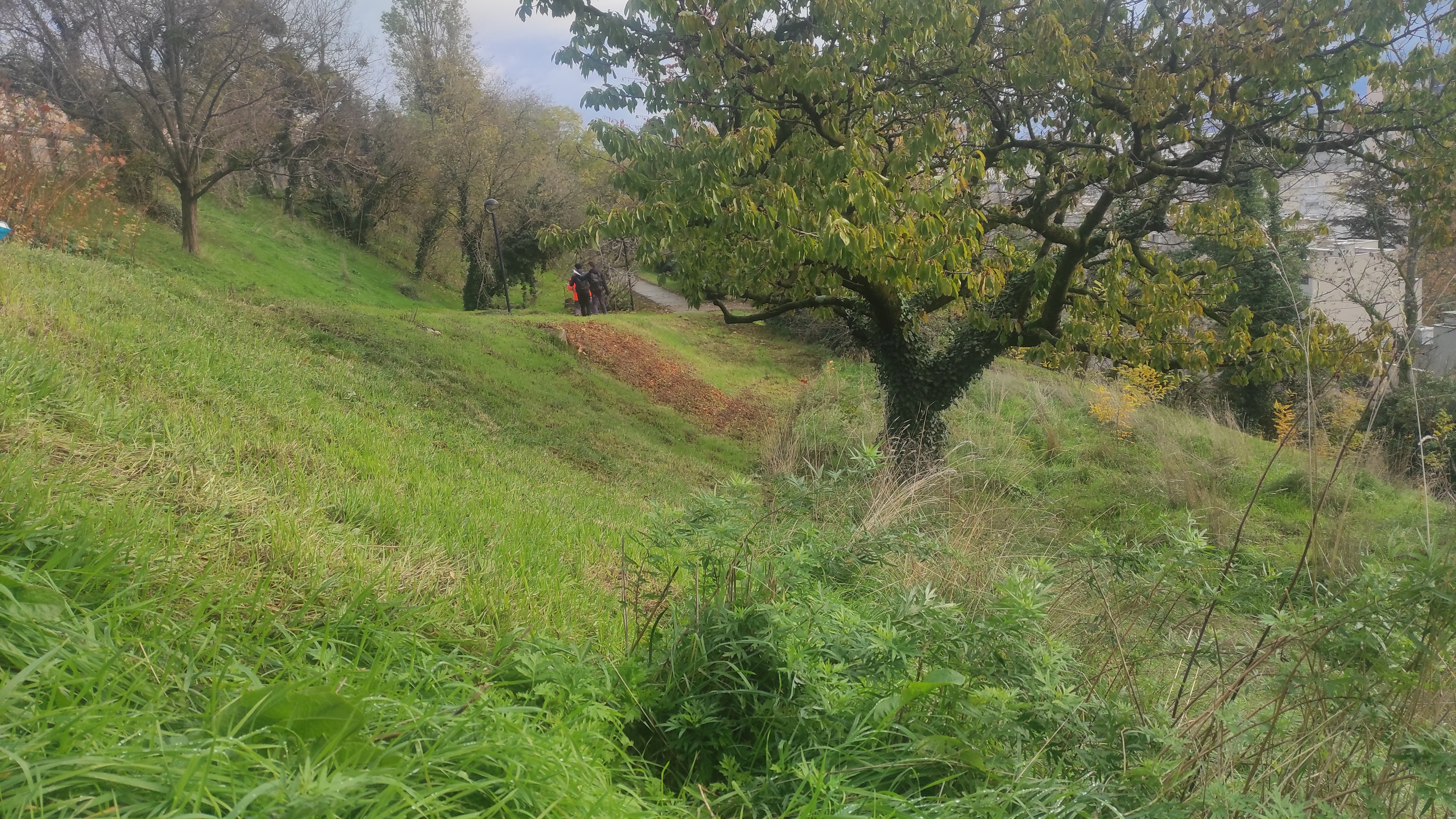 gestion différenciée dans un parc urbain