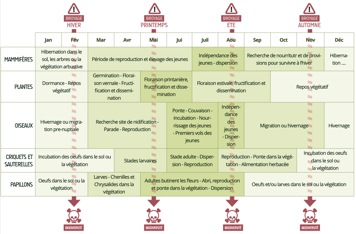 Tableau sur l'impact des interventions selon l'année sur la faune.
