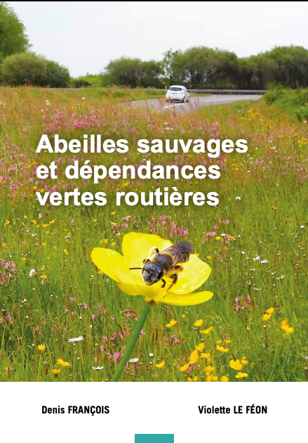 Illustration du guide sur les abeilles sauvages et dépendances vertes routières