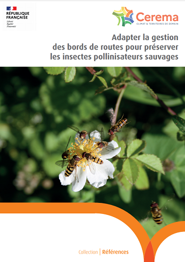 Adapter la gestion des bords de routes - Cerema