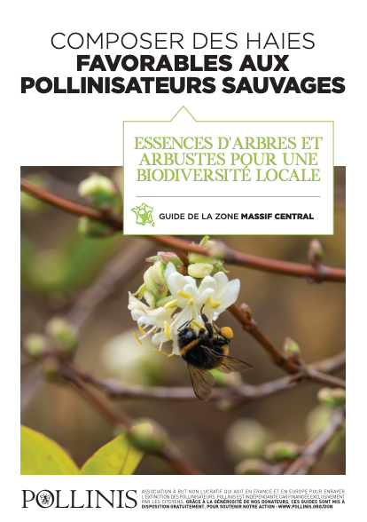 Illustration du guide de la zone Massif Central sur la composition de haies favorables aux pollinisateurs sauvages