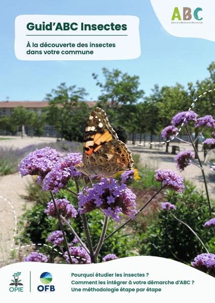 Illustration du guide ABC Insectes