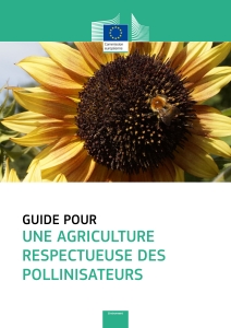 Illustration du guide pour une agriculture respectueuse des pollinisateurs
