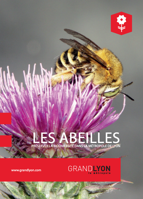 Illustration du guide sur les abeilles pour préserver la biodiversité dans la Métropole de Lyon