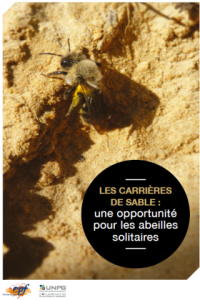 Illustration du guide sur les carrières de sable, une opportunité pour les abeilles solidaires
