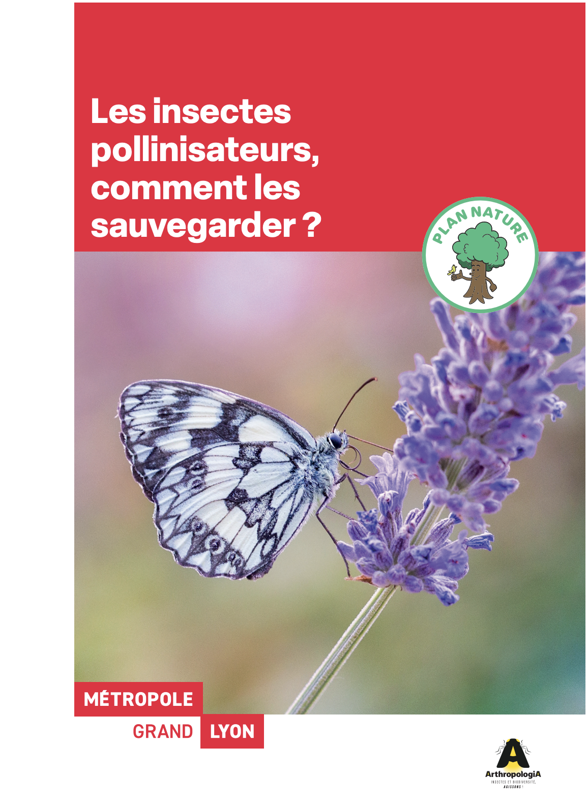 Les insectes pollinisateurs, comment les sauvegarder