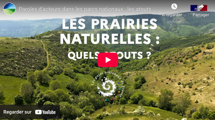 Illustration de la vidéo Youtube sur les prairies naturelles