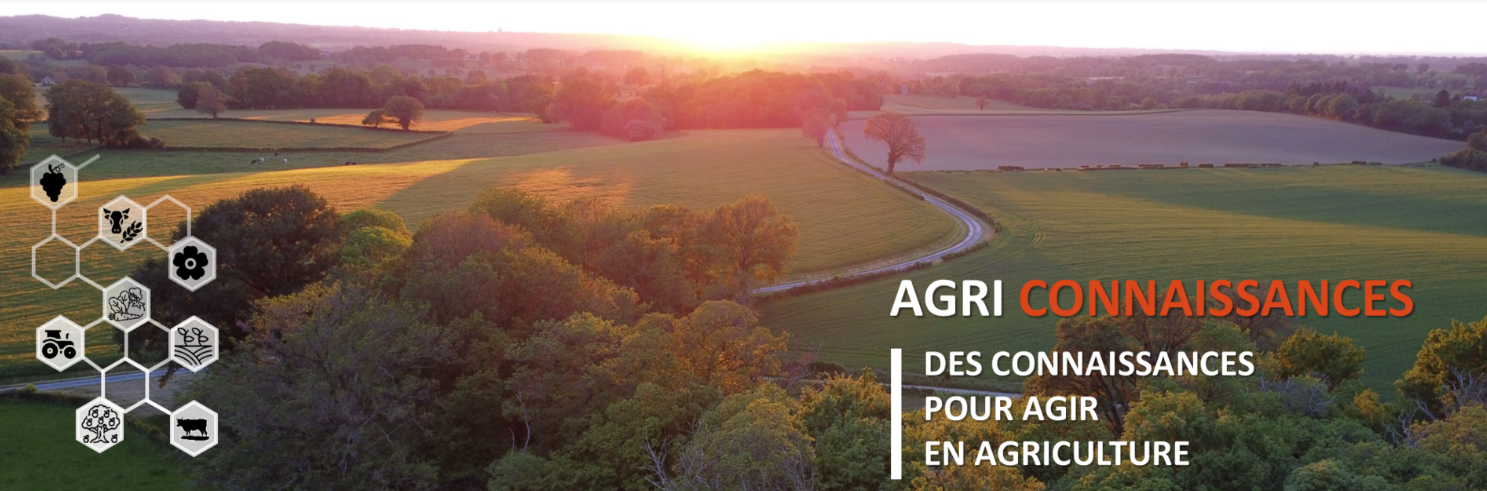 Photo d'un paysage de campagne