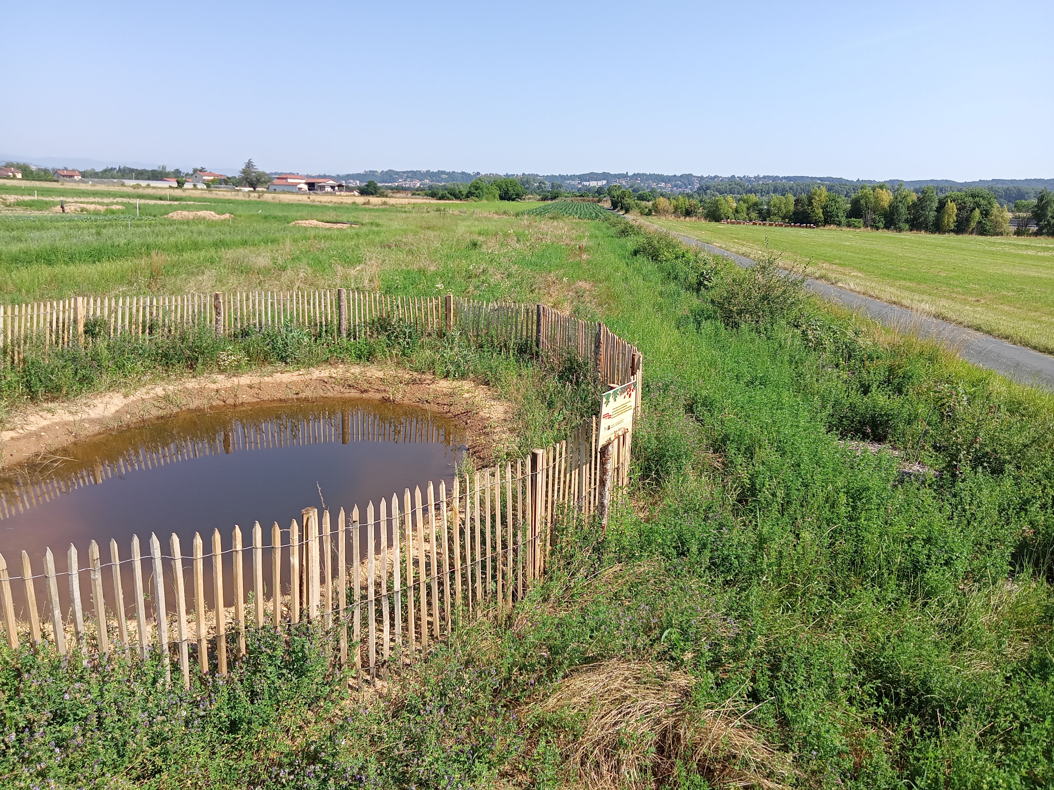 mare trame bleue marathon