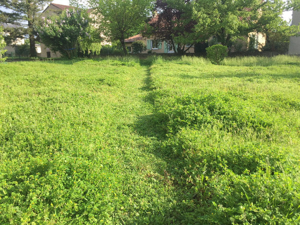 Photo d'une tonte différenciée dans la copropriété "Le Liberation"