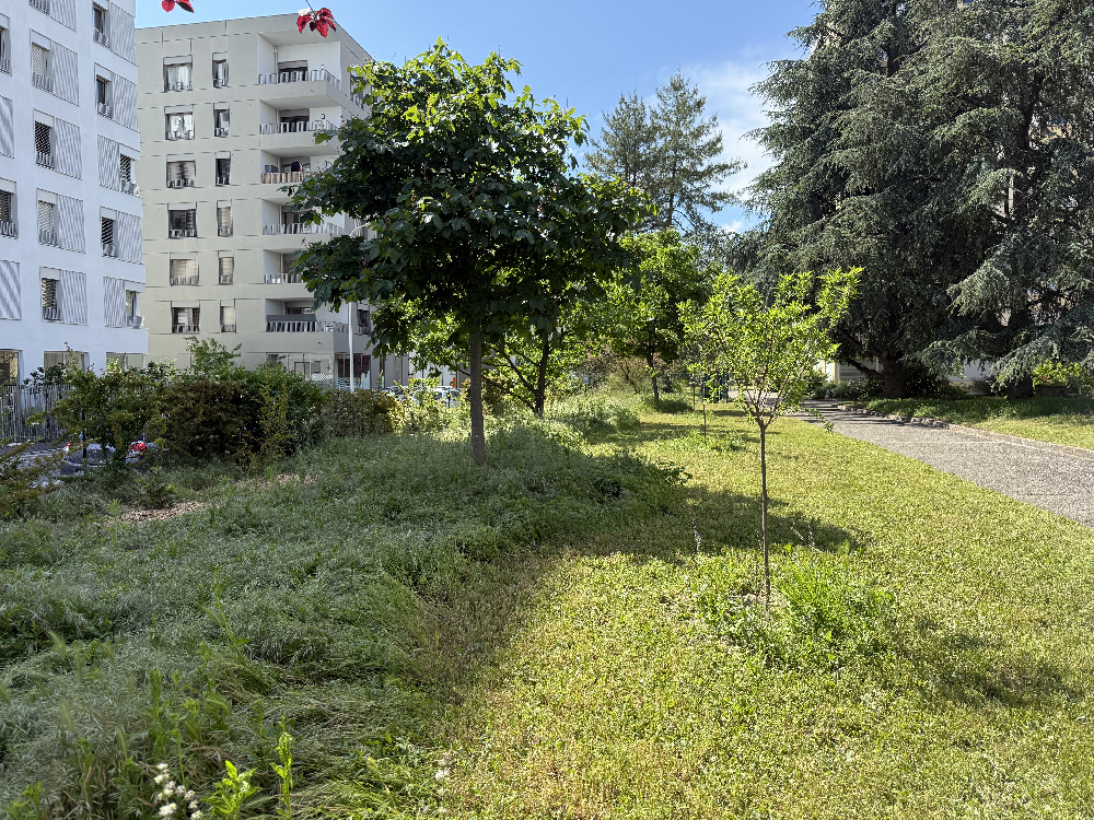 Photo d'une tonte différenciée dans la copropriété "Le Pein ciel"