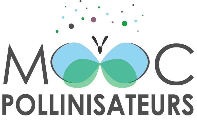 MOOC Pollinisateurs