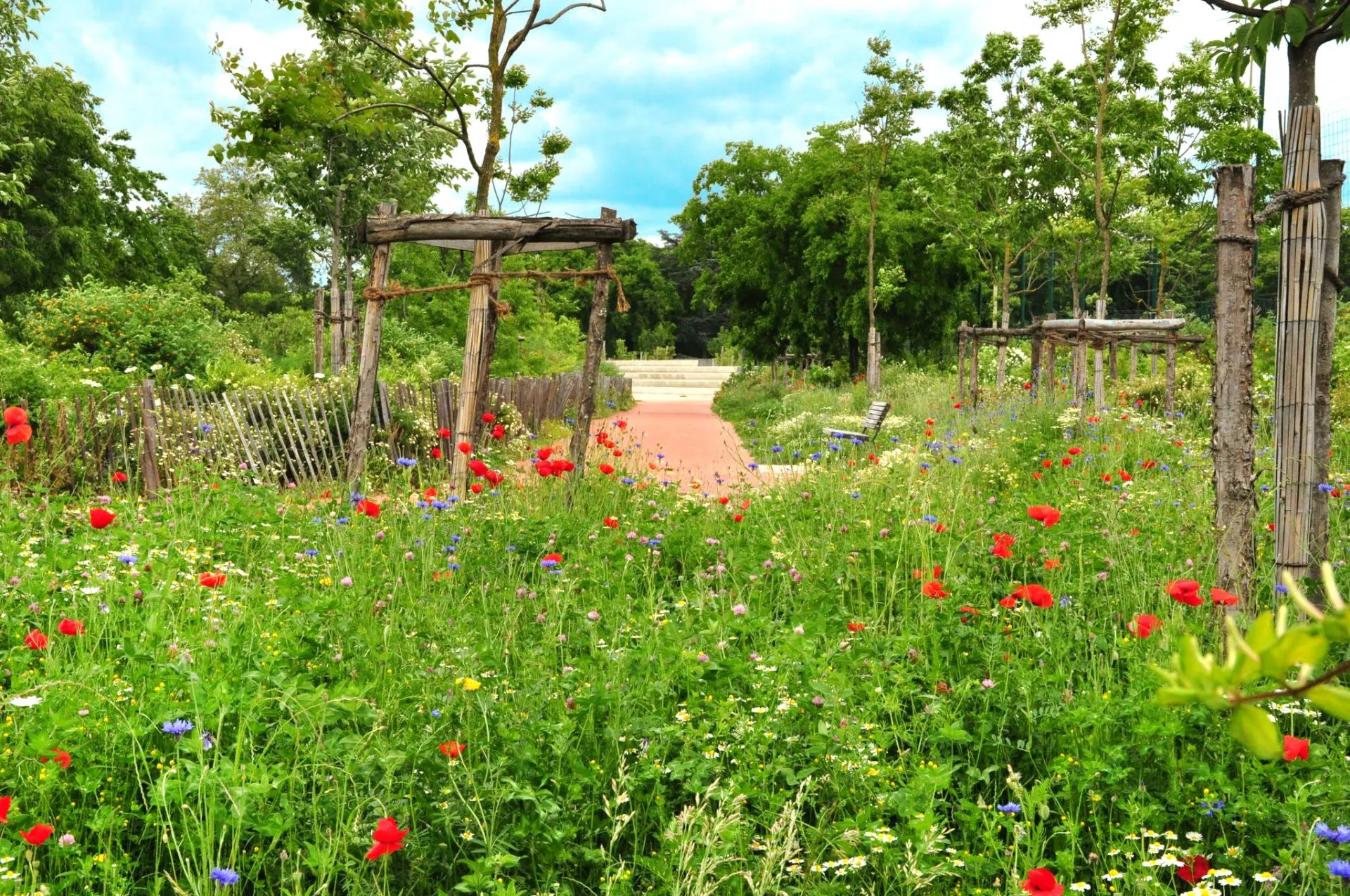parc urbain ©Eric Boglaenko.jpg