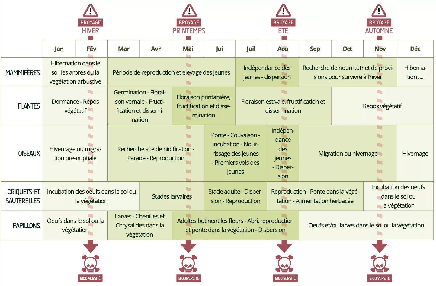Tableau sur l'impact des interventions selon l'année sur la faune.