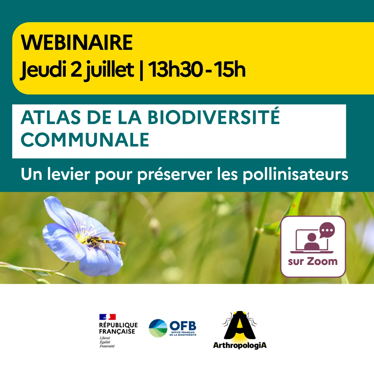 Webinaire ABC et pollinisateurs