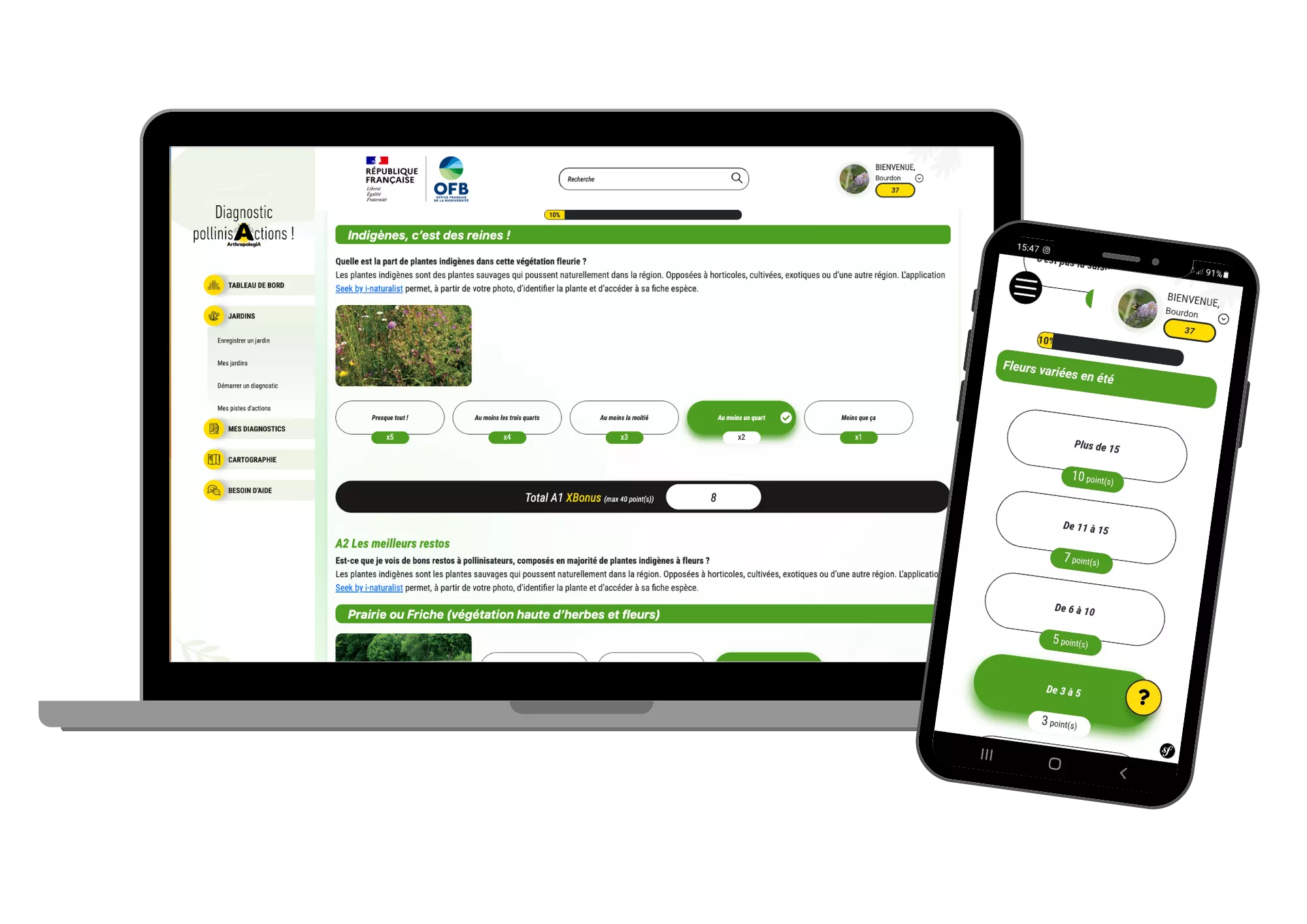 Web app diagnostic pollinisaction