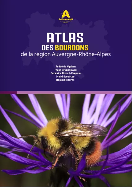 Illustration de l'atlas des bourdons