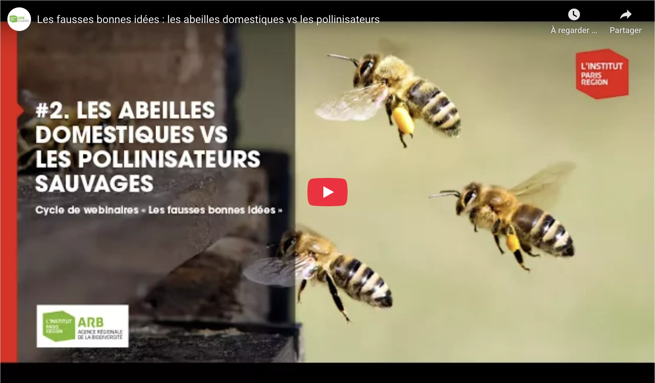 webinaire Les abeilles domestiques vs les pollinisateurs sauvages