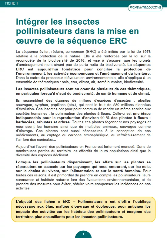 fiche 1 de la série ERC pollinisateurs