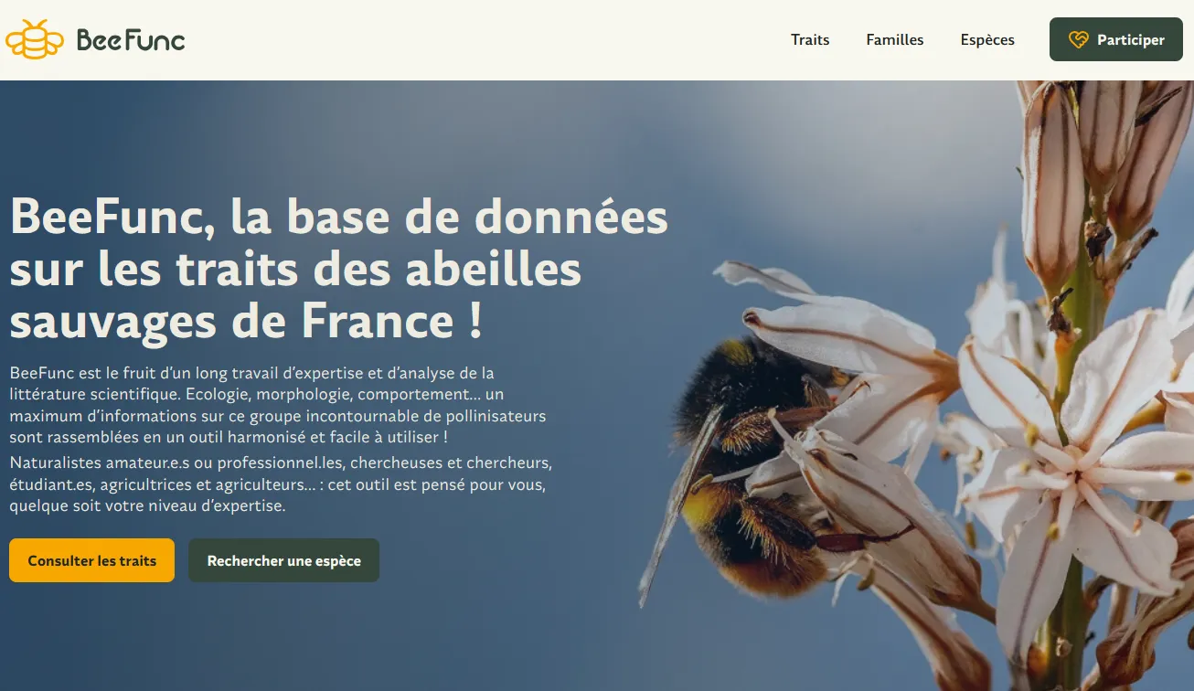visuel du site