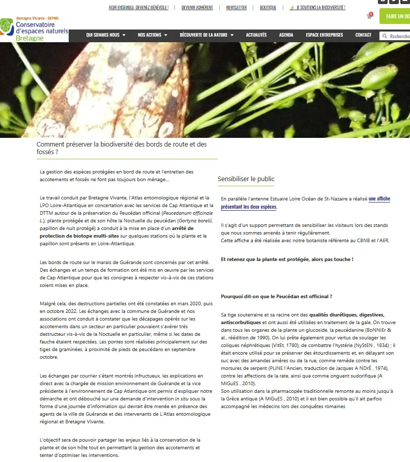 visuel de l'article