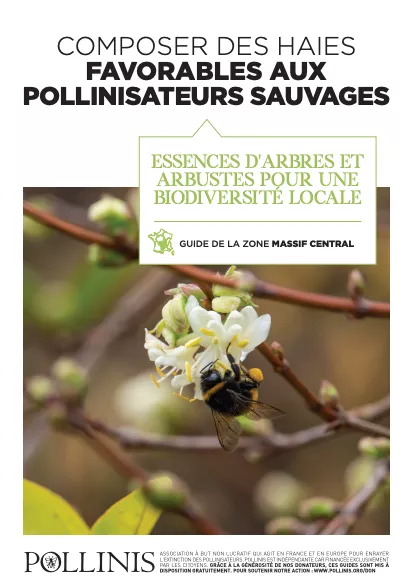 Illustration du guide de la zone Massif Central sur la composition de haies favorables aux pollinisateurs sauvages