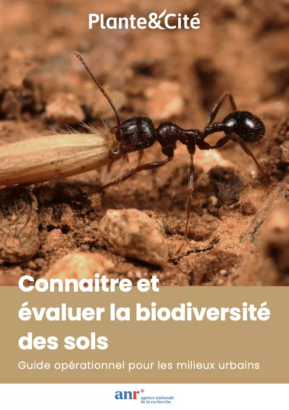 Connaitre et évaluer la biodiversité des sols