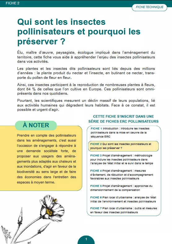 fiche 2 de la série ERC Pollinisateurs