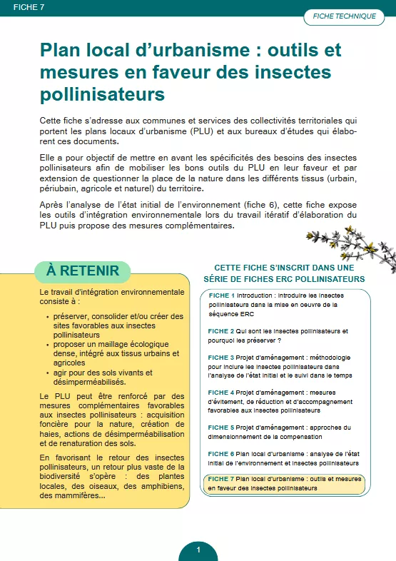 fiche 7 de la série ERC Pollinisateurs