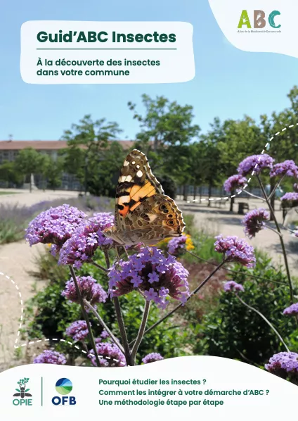 Illustration du guide ABC Insectes