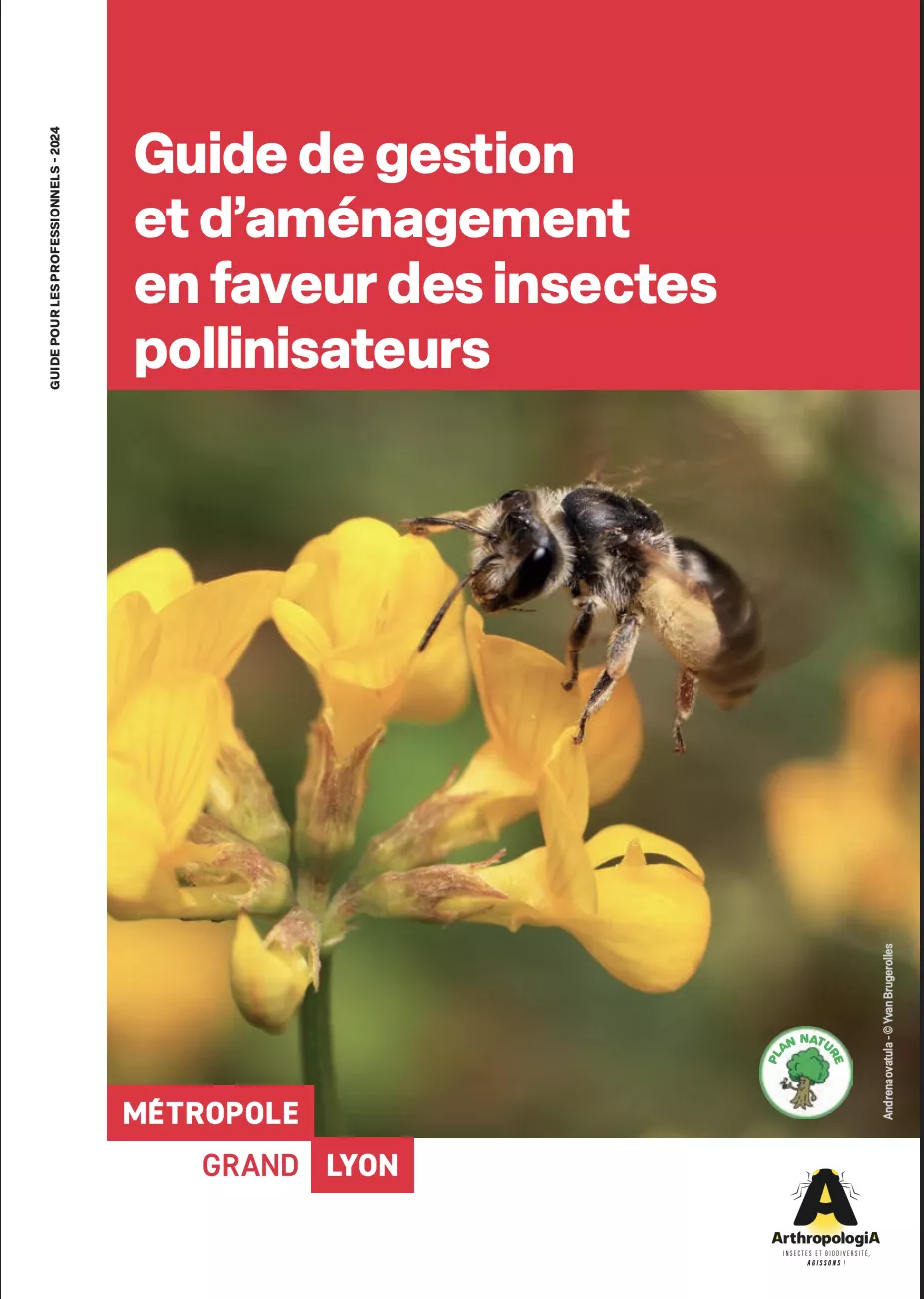 Guide de gestion et d’aménagement en faveur des insectes pollinisateurs