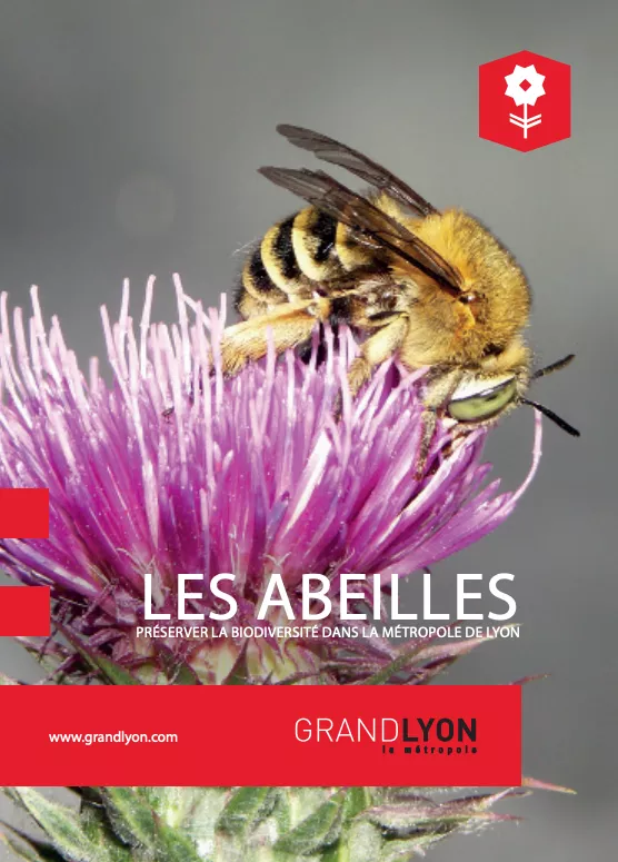 Illustration du guide sur les abeilles pour préserver la biodiversité dans la Métropole de Lyon