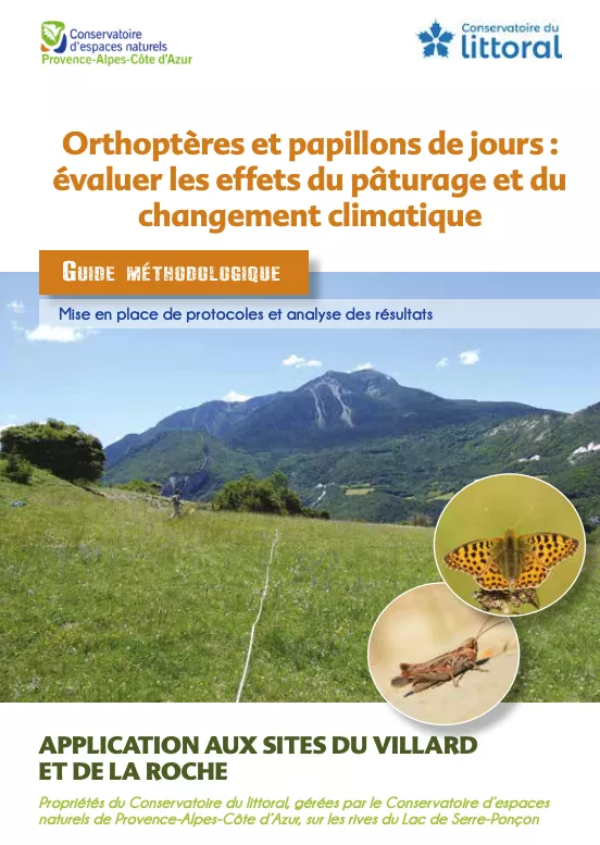 Illustration du guide méthodologique sur les orthoptères et papillons de jours.