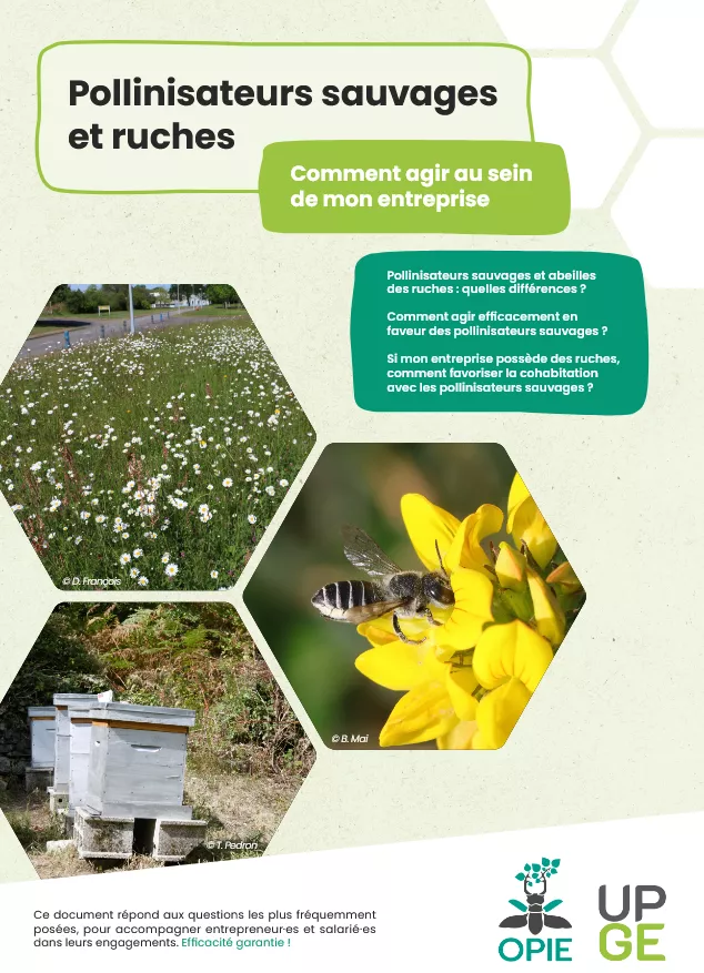 plaquette pollinisateurs et ruches