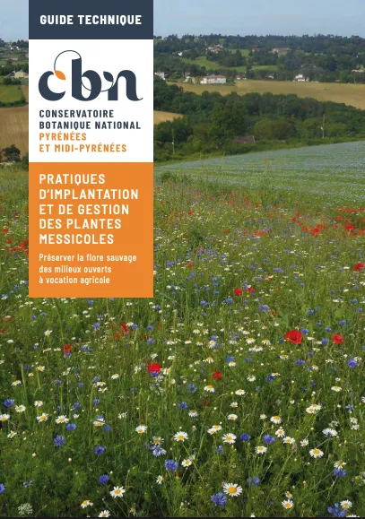 Illustration du guide technique sur les pratiques d'implantation et de gestion des plantes messicoles