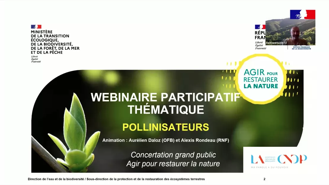 Webinaire : Restaurer la nature avec les pollinisateurs