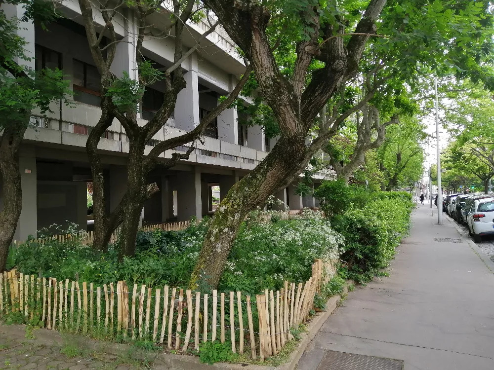 Photo pour illustrer le retour d'expérience sur la végétalisation dans les copropriétés de la Métropole de Lyon