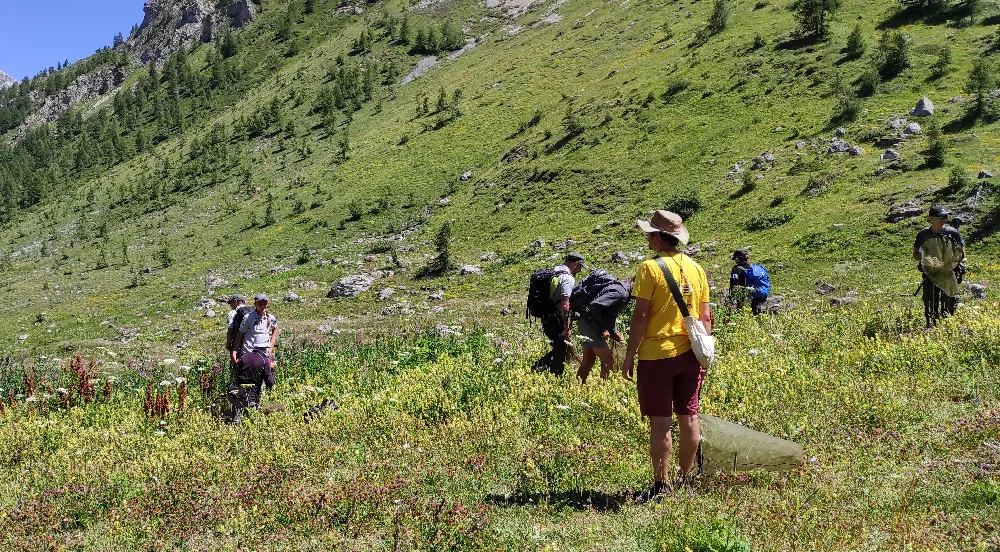 Illustration d'une campagne de recensement des espèces présentes