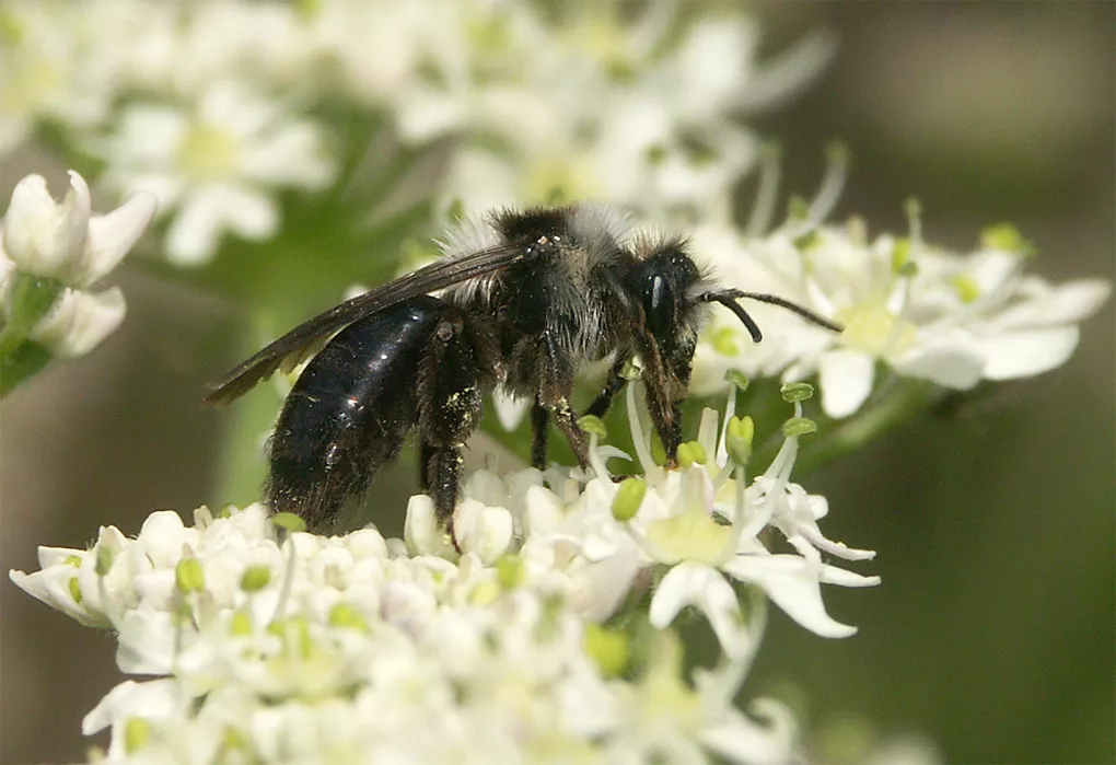 Crédsit : Hugues Mouret