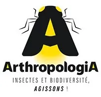 Site d'Arthropologia