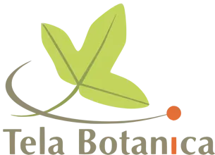 Tela Botanica
